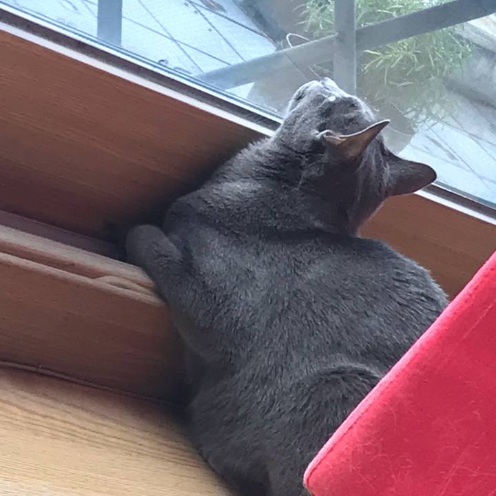 Ed1405ea 3b64 4886 8c64 142e0eea4057 1568101577725