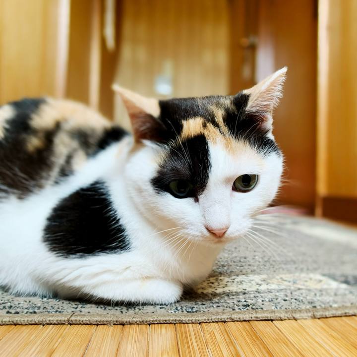 Ed141e69 d8ec 4007 b055 0baa7b7fb036 1596159946097