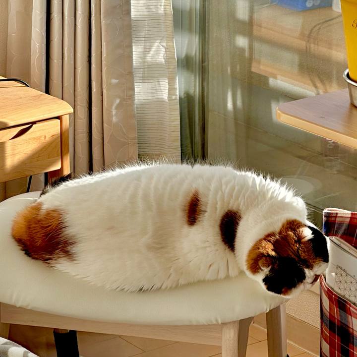 Ed14747f 4ba6 4107 9b30 abf45ff7d56d 1703218562167