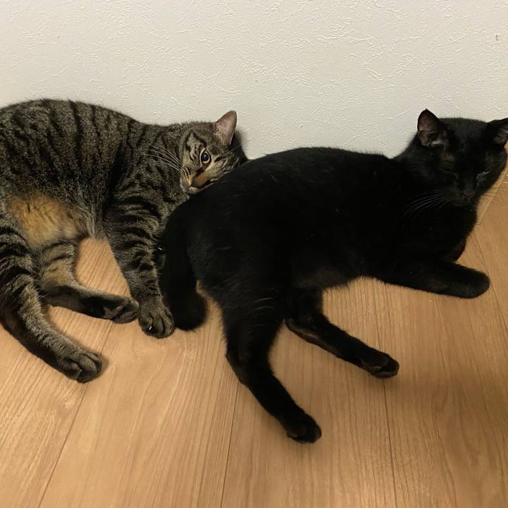 Ed149225 811a 4028 abfb d98388d05811 1658142813274