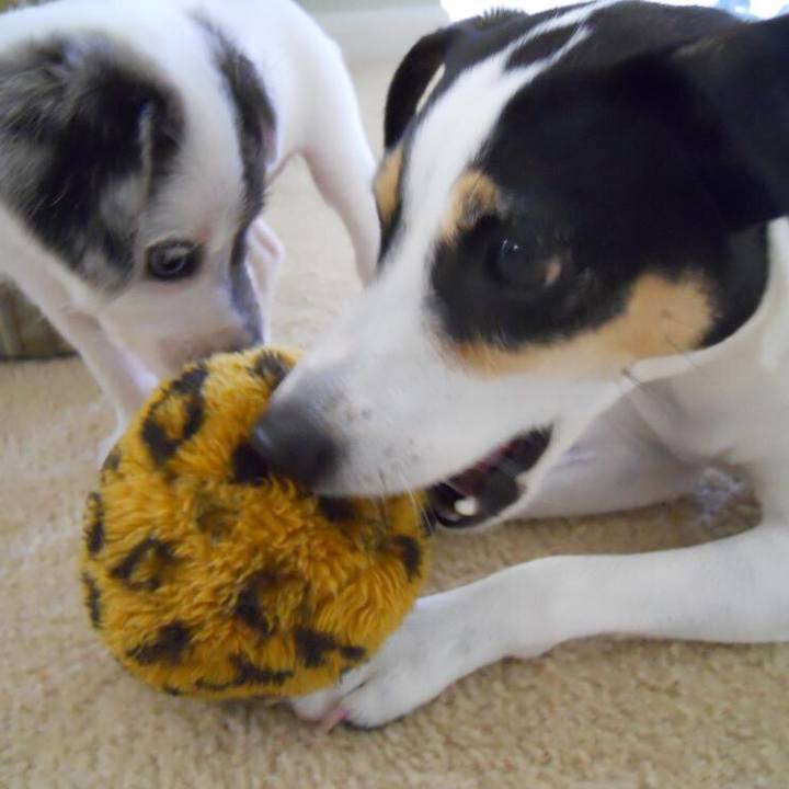 Ed14c8f4 f8eb 4cd0 80eb 70e59cbcab68 1510783805107