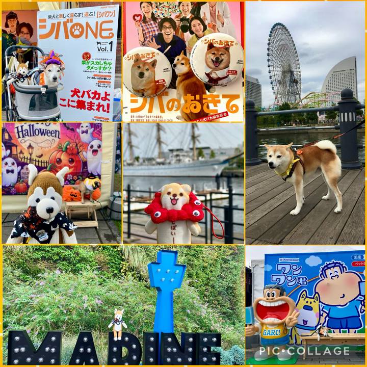 Ed14f59d 8fb5 4fab beee d6670abe1fc3 1760393149895
