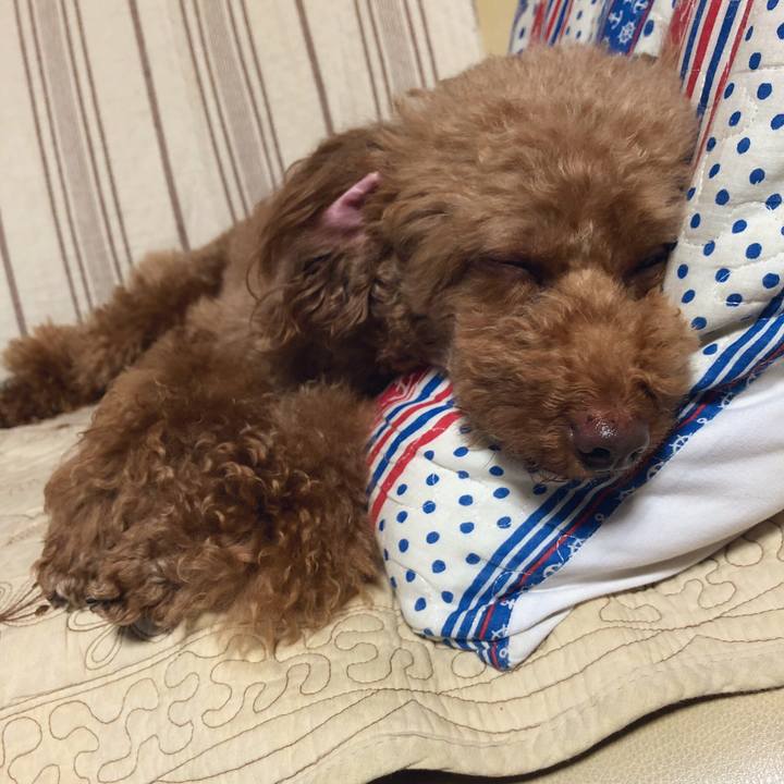 Ed14f663 110e 4aa4 8e8e f08164e03234 1560928745713