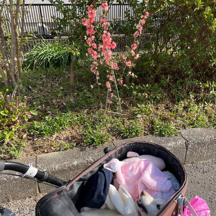 Ed152293 1440 4253 9195 a7f7035f163d 1678876023535