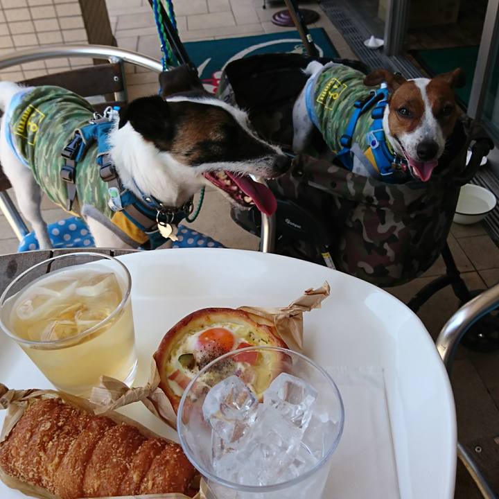 Ed158298 3d69 42f1 b998 d9b247fcb310 1592280579654