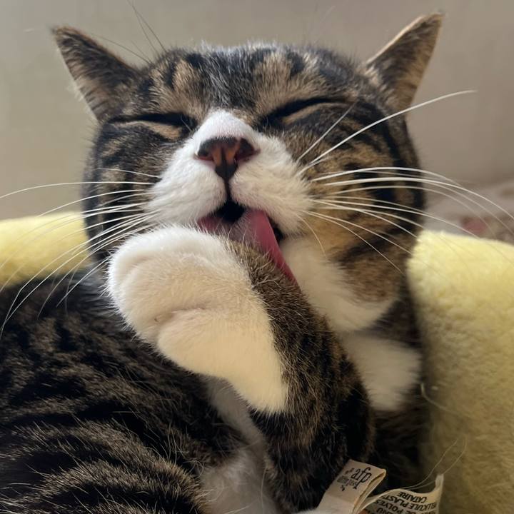 Ed15ead8 cb20 4905 9c23 a91342d15810 1770077268272