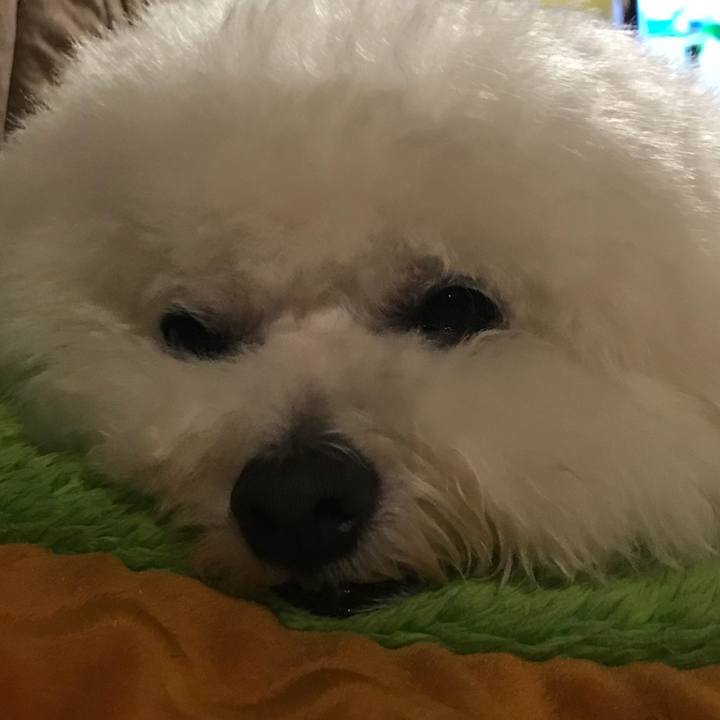 Ed15efd6 1f30 4801 8ab0 fc9b5ebf34f2 1546083278543