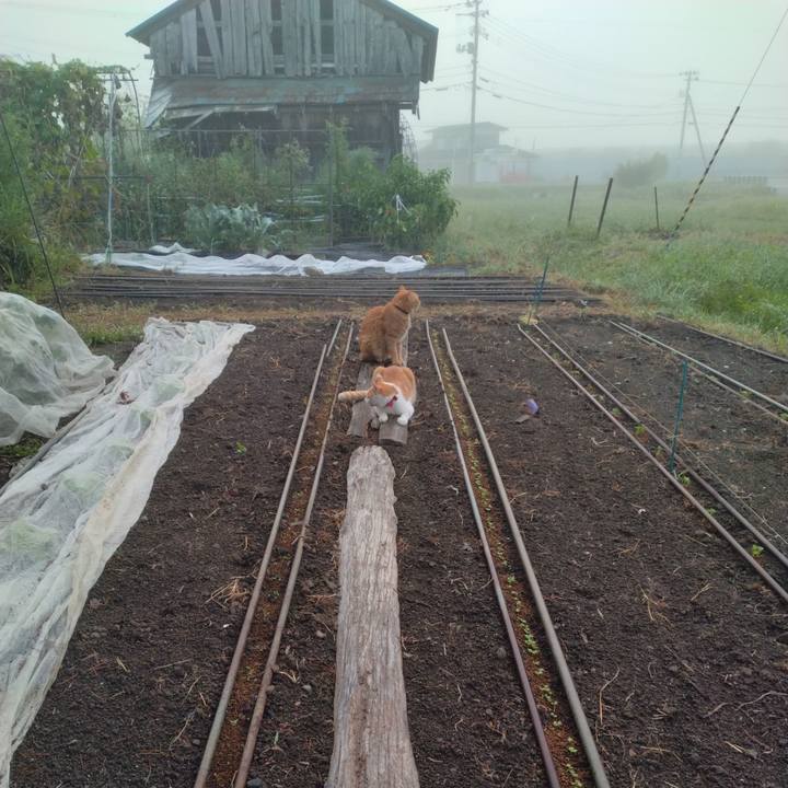 Ed15f222 eb0b 4fba b112 bcd93e9ae636 1757239656868