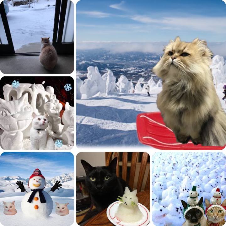 Ed165f0d 4db4 4911 ba61 527783b38f1f 1549710757117