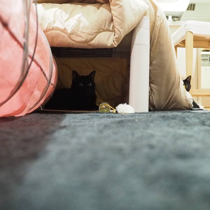 Ed166ddd c3aa 4dc2 9289 ac2f30a1006c 1545263169239