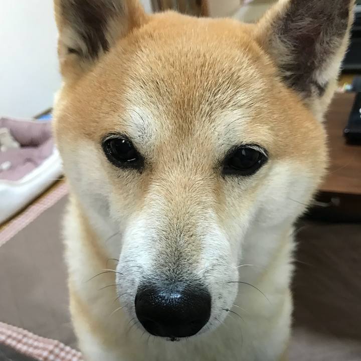 Ed167143 fff5 4370 8f1a dbdf78913df1 1525843932270