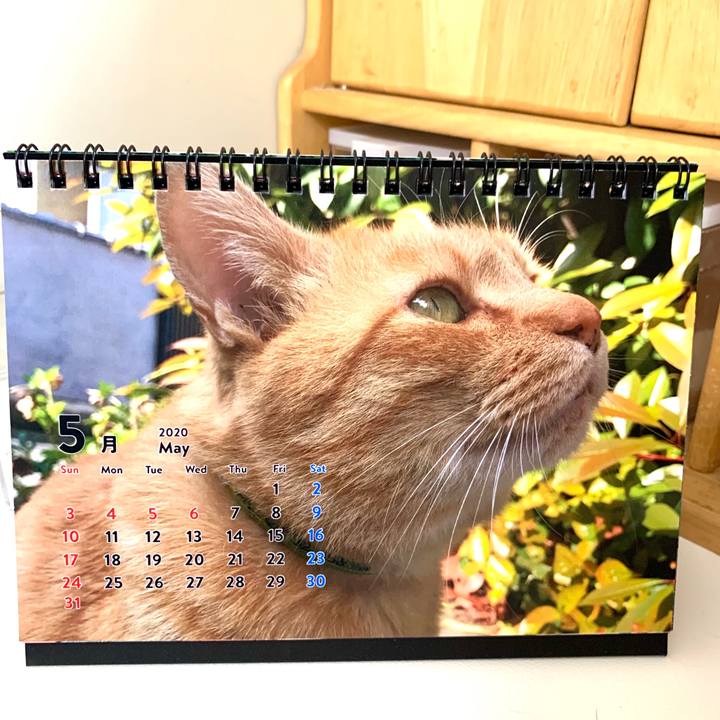 Ed167e40 ca01 4afa 8acf 07e0277c3306 1588389352718