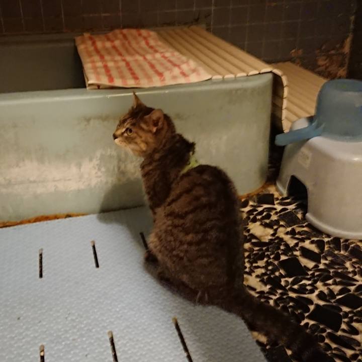 Ed167eaa a399 4a5e 8581 c5f7d0a8ecd7 1587378731163