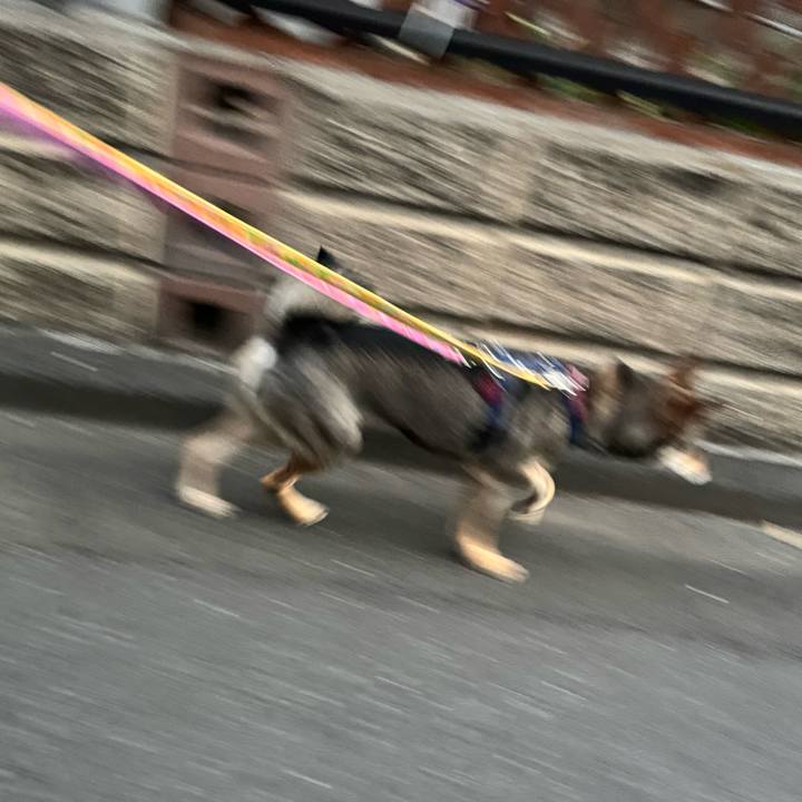 Ed16df56 39a5 4583 a056 20462ca52ced 1765856810160