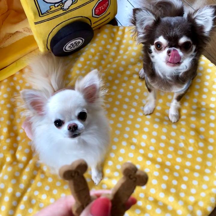 Ed16f2fc 2efb 400d 8bf3 b19d6ca86581 1564702918173