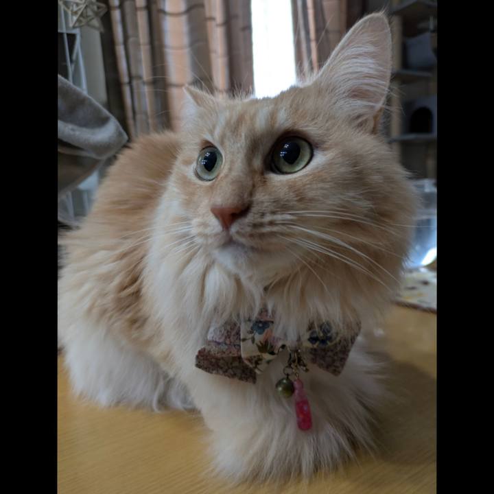 Ed1731a6 7e97 470a 92b7 dc53373011bc 1768962370514