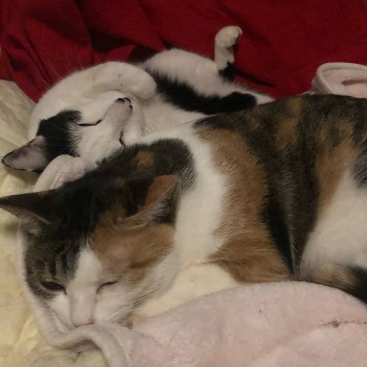 Ed17463a 3e4b 4a89 be30 c7d211c79e86 1606661049317