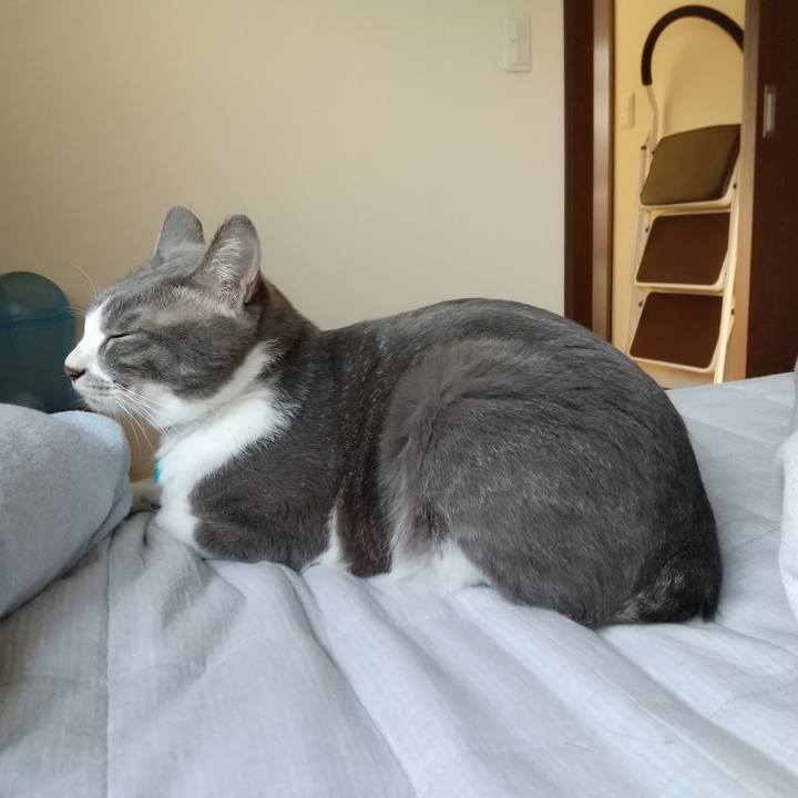 Ed1756c8 4d33 462e a9dd 799661bd5d54 1618873030252