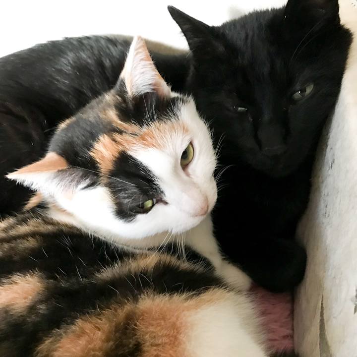 Ed175a4a e849 4943 a104 dcef88a6c92f 1518533148302