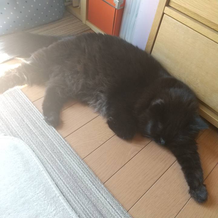 Ed175c0f 2a9b 4f63 918f 2484eeada811 1618884434854