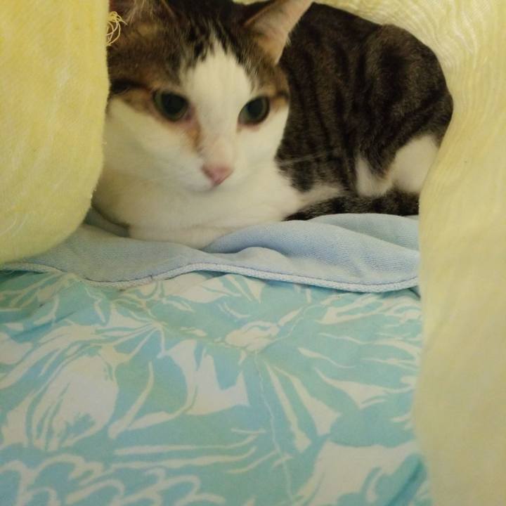 Ed1774e8 92f2 405b b24f 3de0ec8d8075 1594989653092