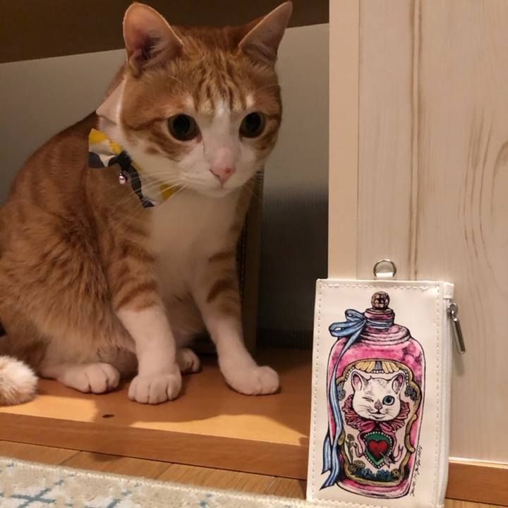 Ed17b450 1164 4e7a 9f83 81a5c535f28c 1558694528480