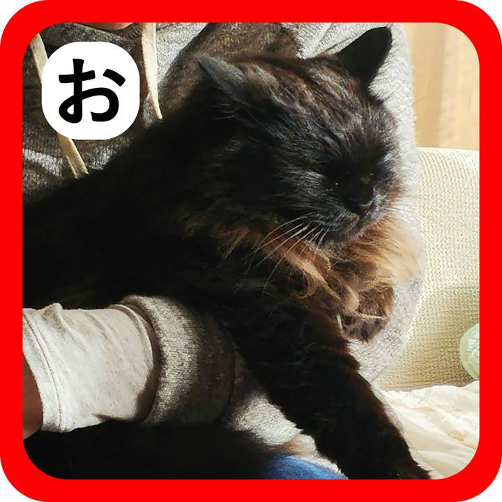 Ed17bcfc 731f 40a9 868c 6a88782cbfb6 1514960553903