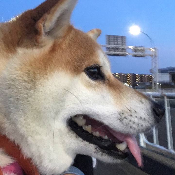 Ed17d1a7 53de 4e59 b50a 164caa42b1cc 1646345311900