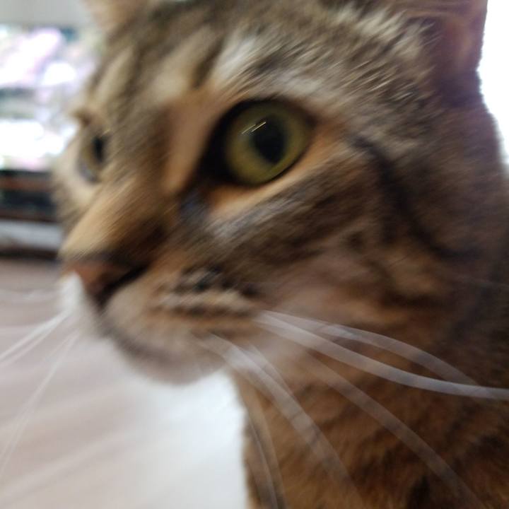 Ed17e4b3 ad09 411c 81d9 21a57a8f7628 1587167578772