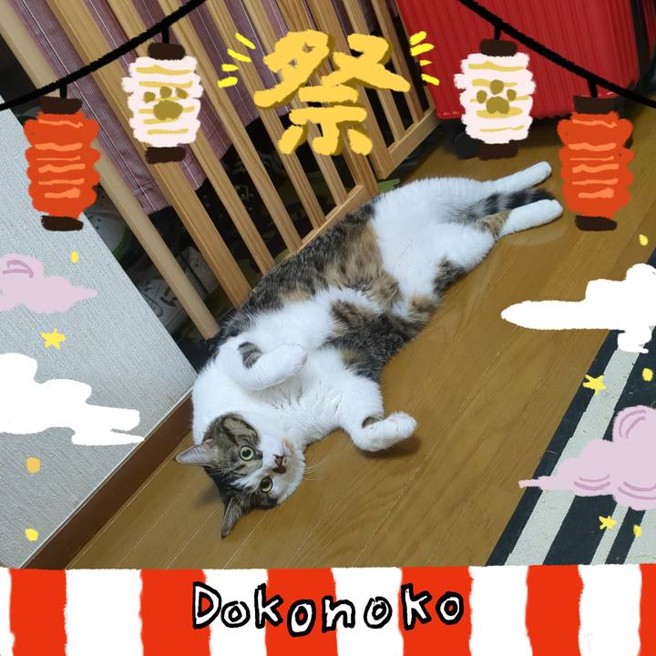 Ed17e928 7d30 433d 94f3 c449d0beb4e9 1723419335535