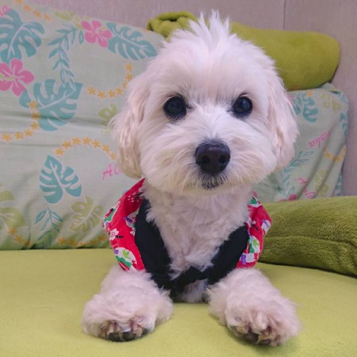 Ed186e91 147e 477a 9c0e af3ccb8c3eef 1513317787500