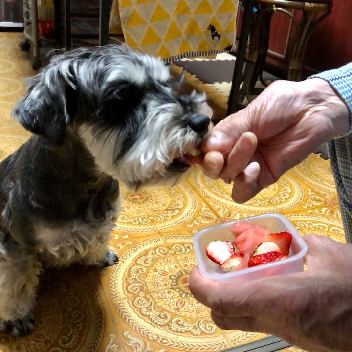 Ed18b619 09d6 44e4 9d4f 770e6e102e10 1653084907491