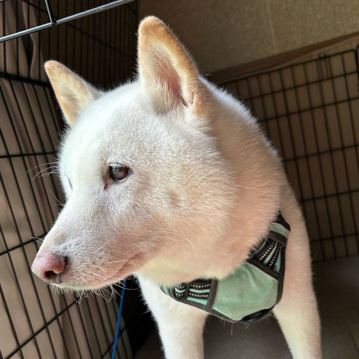 Ed18c3bf 747c 4230 95f6 7b4bc52a8f2c 1695003155951