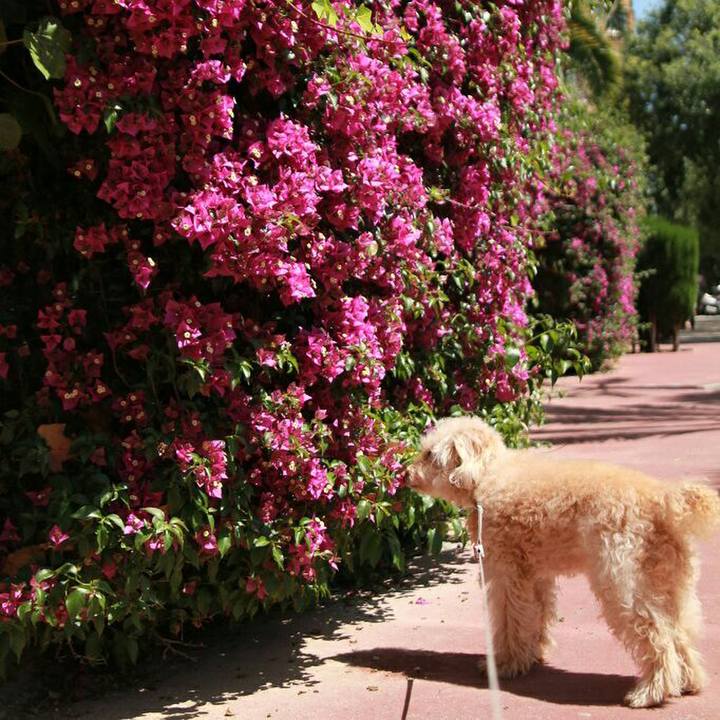 Ed18e4be 91c5 49f1 93d6 7d858b46c313 1589902495881