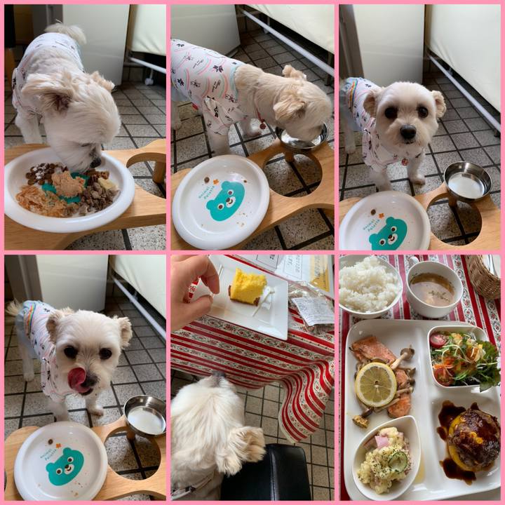 Ed19055a e4bd 4214 a491 5374026c8fa5 1623496473267