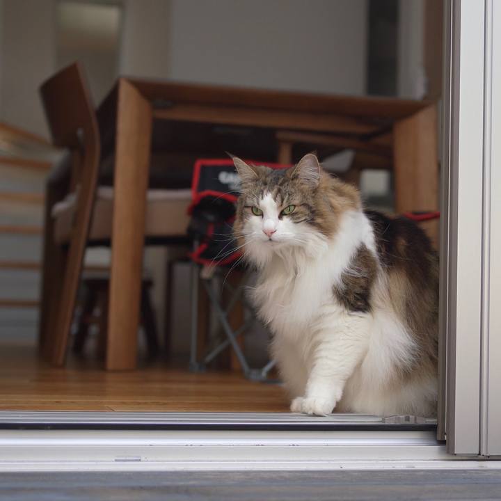 Ed1909e0 26b2 47c7 8ad6 3af74a08c71a 1652878670090