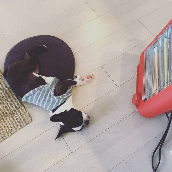 Ed19271b 4ad8 47d9 b392 1ad374b3531f 1515897496896