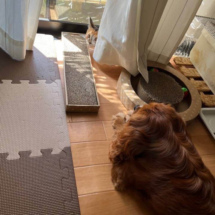 Ed193d7d 47f1 43e2 b9c1 ebafbee4a6a0 1659012288128