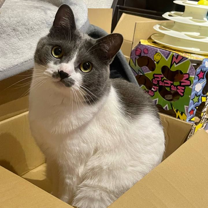 Ed194512 3376 4849 b9a0 f387dcbfa4ba 1652449468839