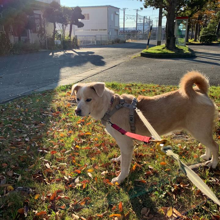 Ed19506f 44cf 41a0 be55 5fccde2566ba 1575787621430