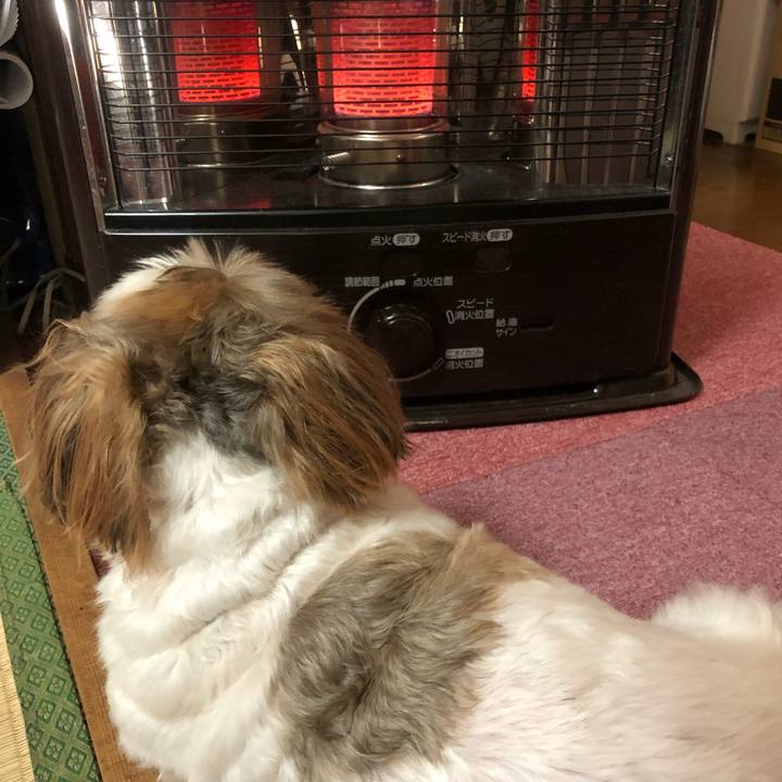 Ed19623c e9f4 4ae0 82c8 df13eb443bad 1542509103743