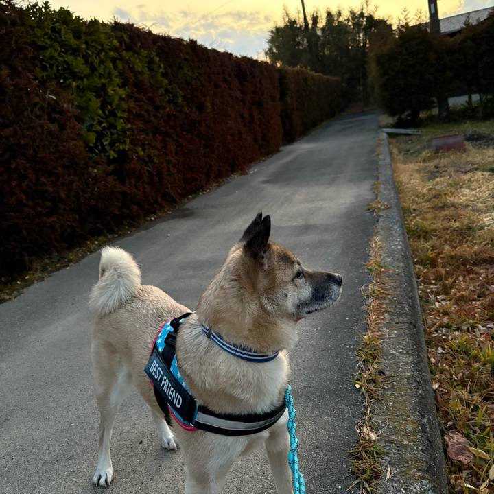 Ed1980d9 5faf 4ca2 b8f3 15a590e4e387 1738586895468