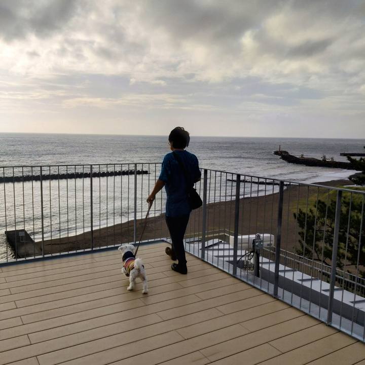 Ed198437 a432 4249 b292 81bdcec4b673 1727010737089