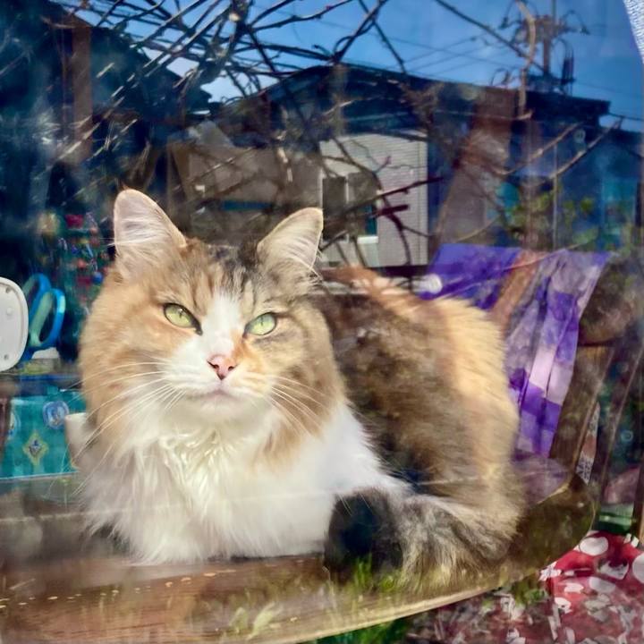 Ed19c84b dc14 4be2 8947 742798fde811 1712038742868