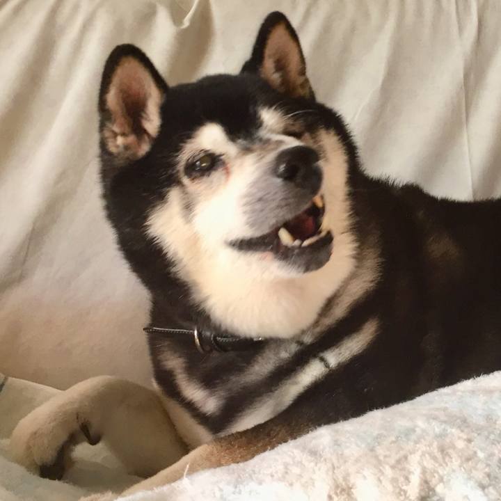 Ed19d262 9f56 4181 804a 02aacd643d20 1515806754344