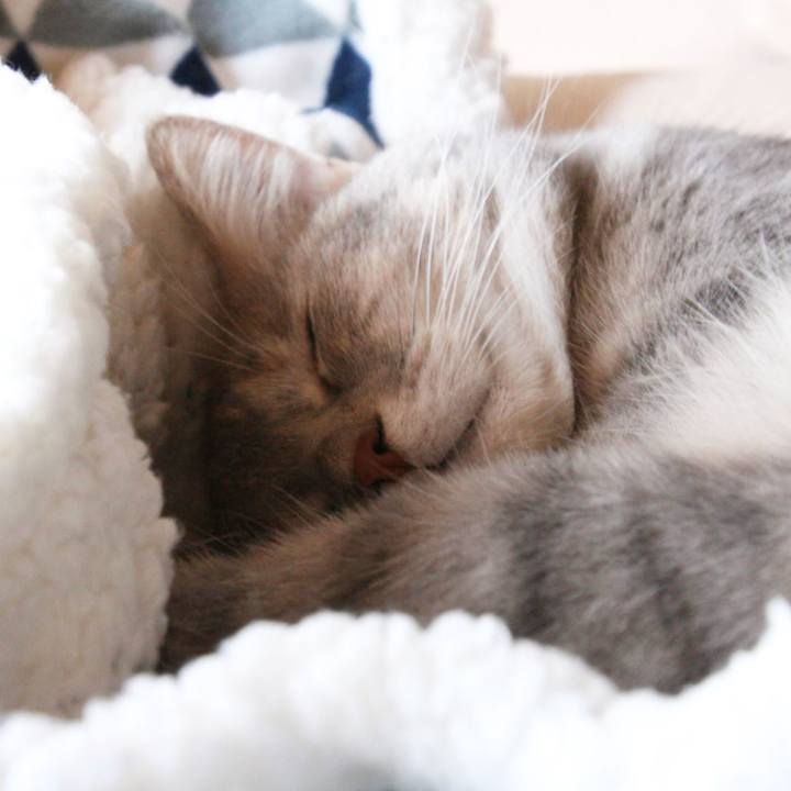 Ed19fcfc 88b5 48d7 ad7f 8aba29980f81 1539488420864