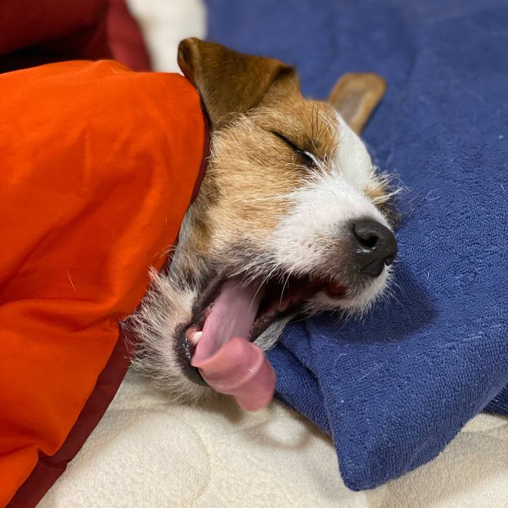 Ed1a0bf5 5530 4ebb 86be 2c7f676ac2c6 1645484210010