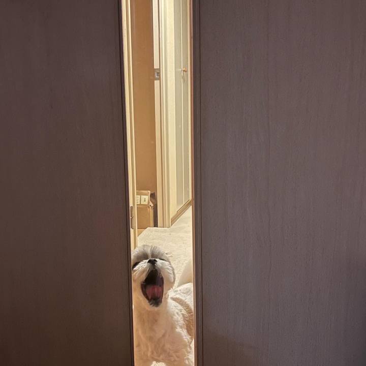 Ed1a1dae d426 4195 985f 411d359e23c3 1660283181589