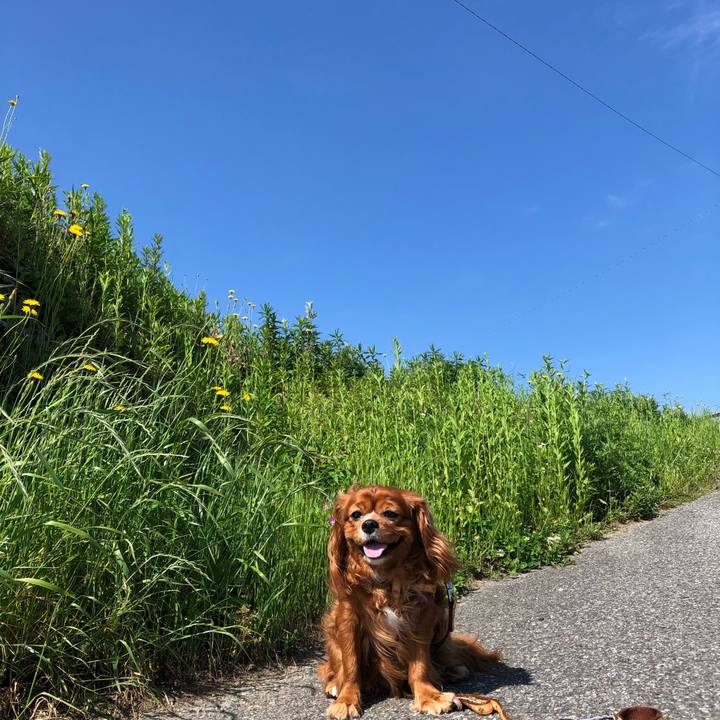 Ed1a2f9f 0033 4856 b4d2 51e886d583de 1621036884610