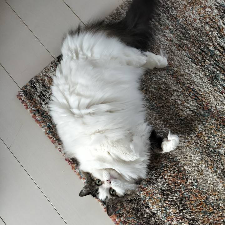 Ed1a59e7 9e53 4826 b8cd af8b265c3d02 1764111559057